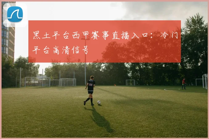 黑土平台西甲赛事直播入口：冷门平台高清信号