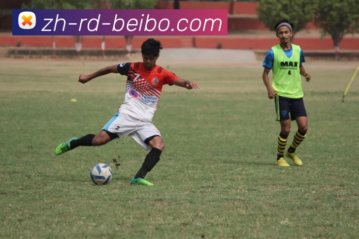 App Interface Preview