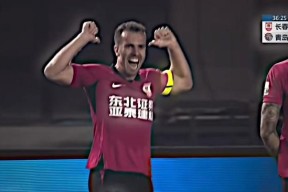 贝博体育官网-比利时现役英超联赛效力球员完整名单详解